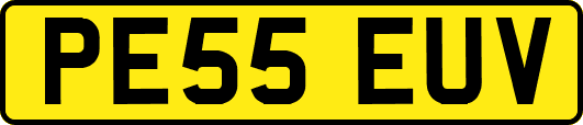 PE55EUV