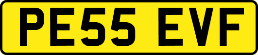 PE55EVF