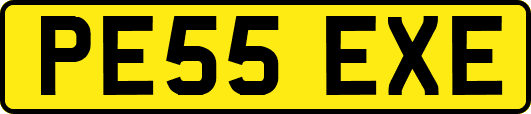 PE55EXE