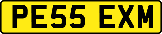 PE55EXM
