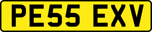 PE55EXV