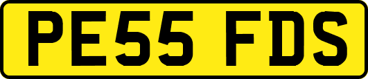 PE55FDS
