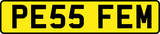 PE55FEM