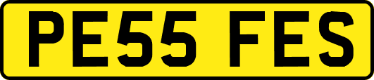 PE55FES