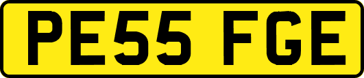 PE55FGE