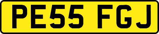 PE55FGJ