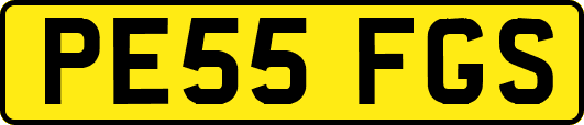 PE55FGS