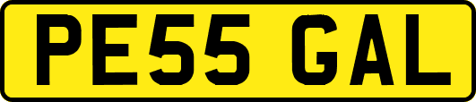 PE55GAL