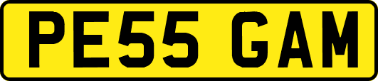 PE55GAM