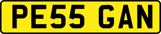 PE55GAN