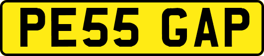 PE55GAP