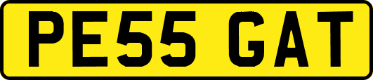 PE55GAT