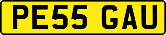 PE55GAU