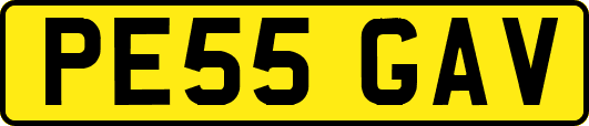 PE55GAV