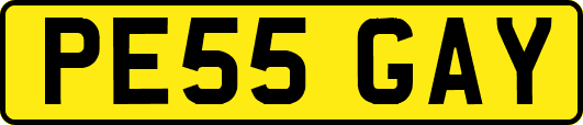 PE55GAY