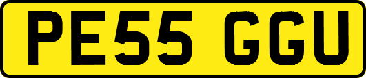 PE55GGU