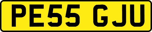 PE55GJU