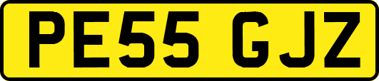 PE55GJZ