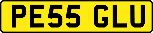 PE55GLU