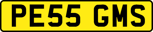 PE55GMS