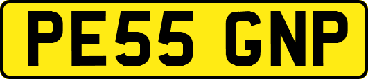 PE55GNP
