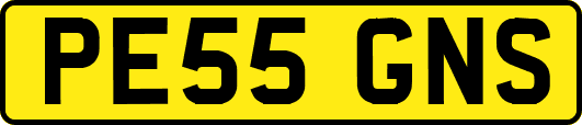 PE55GNS