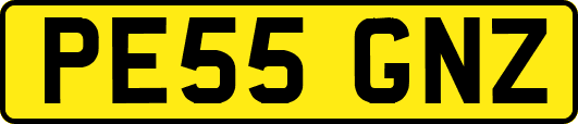 PE55GNZ