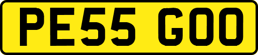 PE55GOO