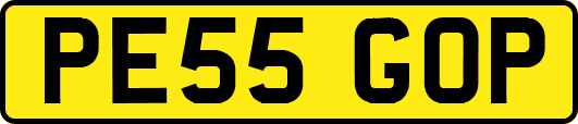 PE55GOP