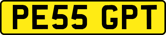PE55GPT