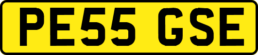 PE55GSE