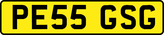 PE55GSG