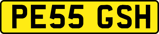PE55GSH