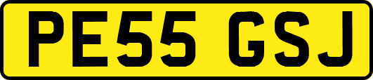 PE55GSJ