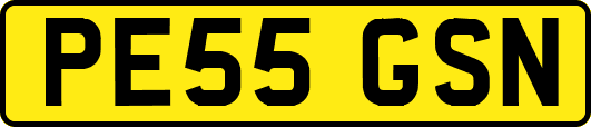PE55GSN