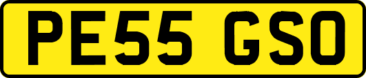 PE55GSO