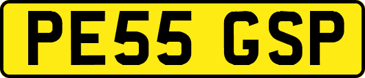 PE55GSP