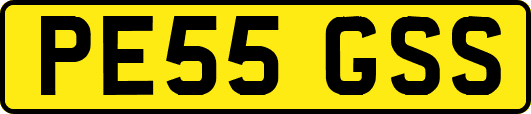 PE55GSS
