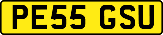 PE55GSU