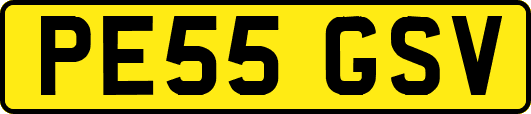 PE55GSV