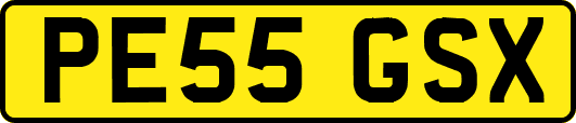 PE55GSX