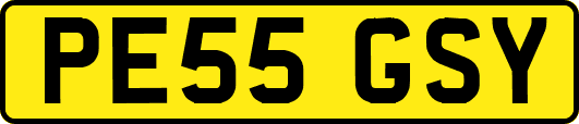 PE55GSY