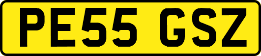 PE55GSZ