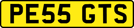 PE55GTS