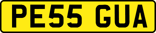 PE55GUA