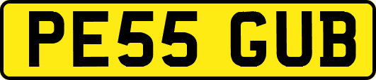 PE55GUB