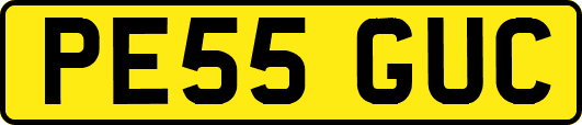PE55GUC
