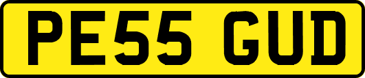 PE55GUD