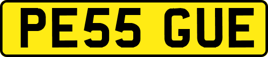 PE55GUE