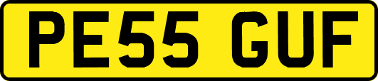 PE55GUF